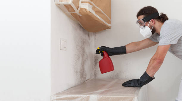 Professional Attic Mold Removal technician working in Graham, TX