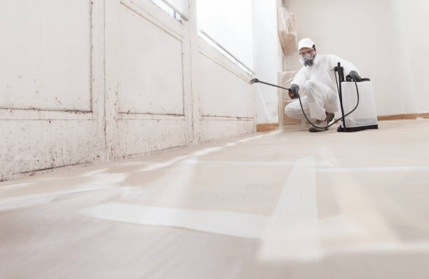 24/7 Emergency Attic Mold Removal experts in Graham, TX