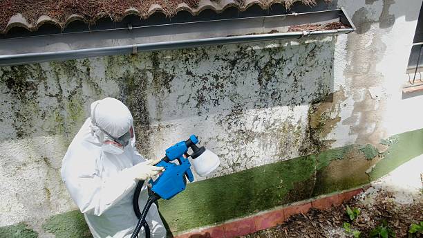 Trusted Mold Testing service in Graham, TX - Cheap Mold Removal